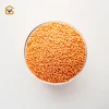 Masoor Dal 1 Kg